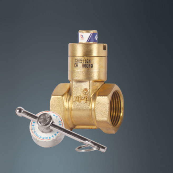 Encrypted Anti-Theft Pre-Meter Valve (Magnetic Lock Valve), Special Valve for Water Meter